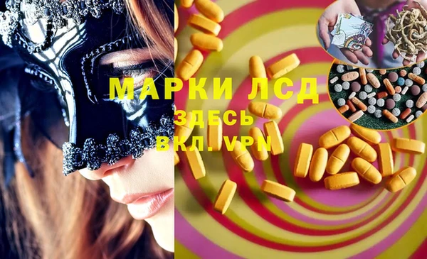 хмурый Алексин
