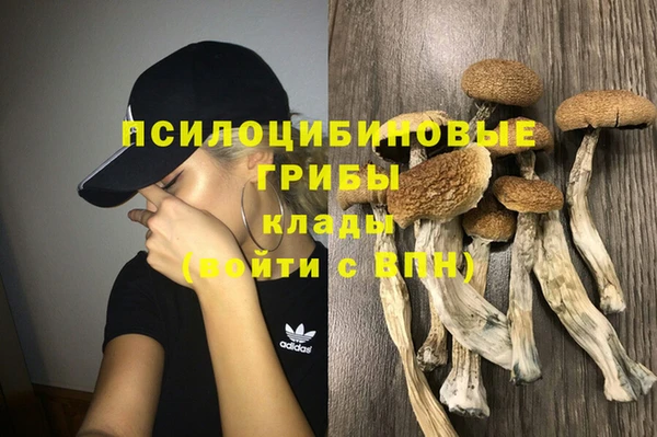 ECSTASY Алзамай