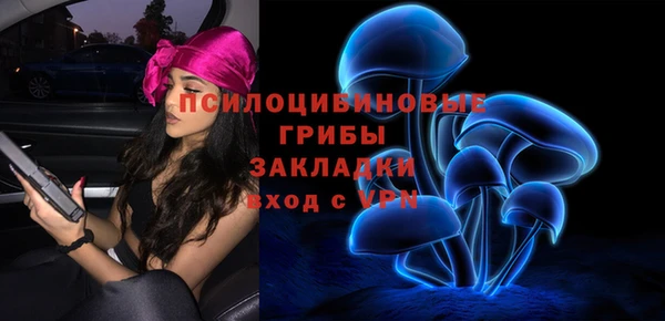 ECSTASY Алзамай