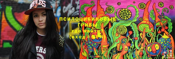 хмурый Алексин