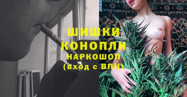 ECSTASY Алзамай