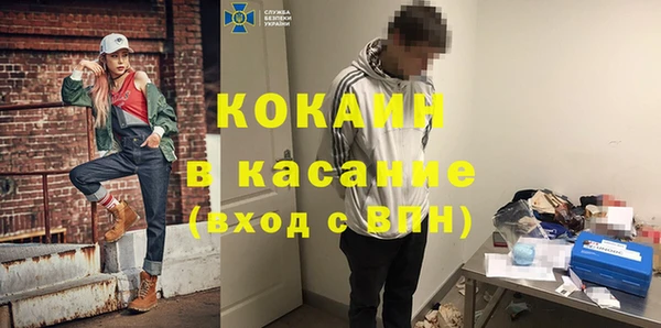 хмурый Алексин
