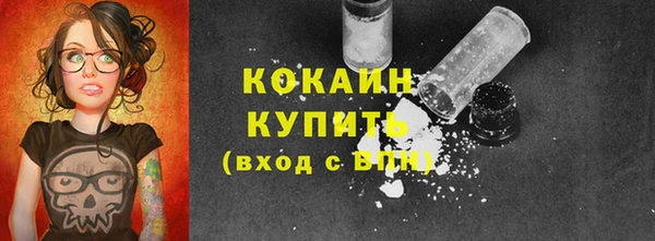хмурый Алексин