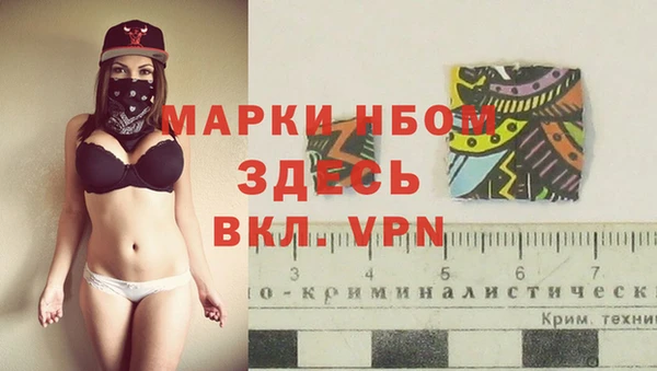 сатива Алексеевка