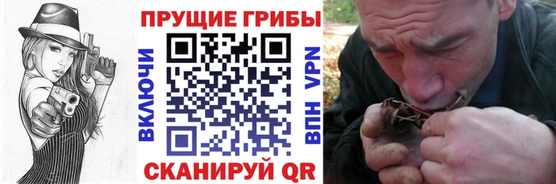 Галлюциногенные грибы прущие грибы  купить закладку  Печоры 